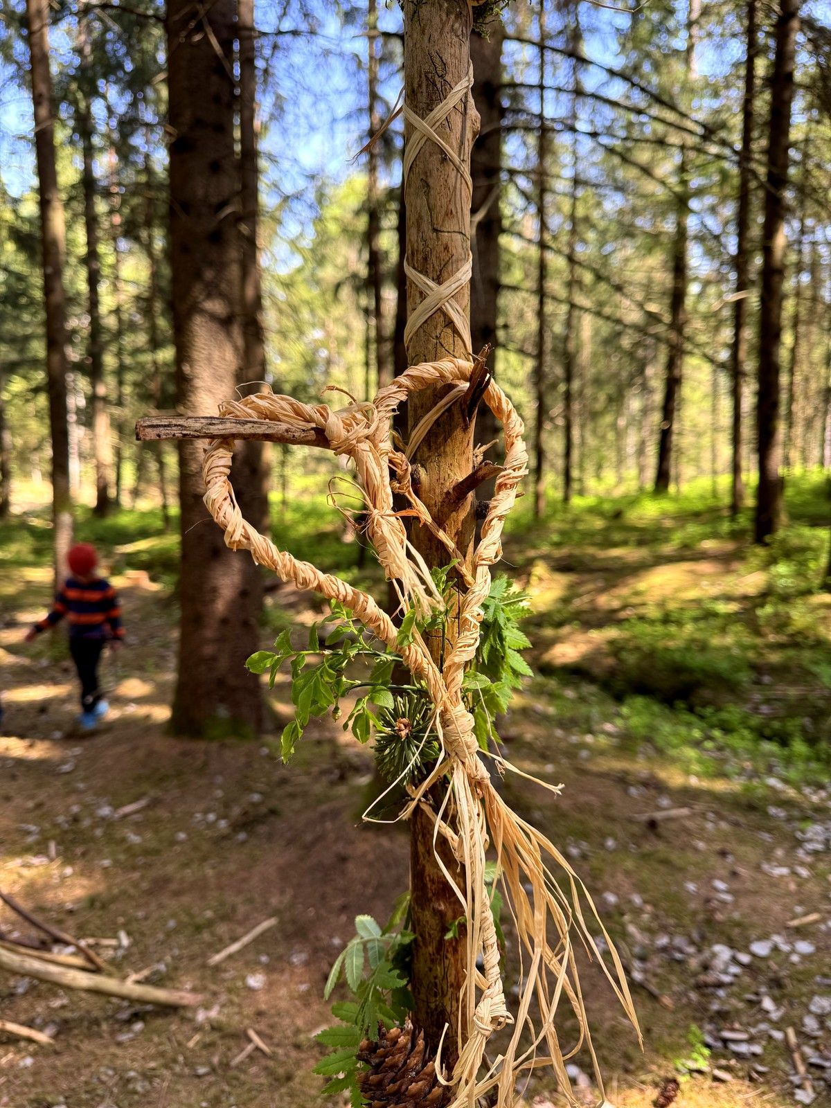 Kraeuterwanderung